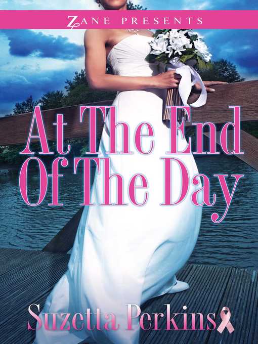 Title details for At the End of the Day by Suzetta Perkins - Wait list